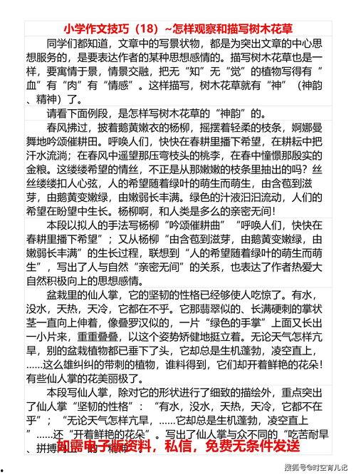 感恩节最新爆料新闻稿怎么写,揭秘节日背后的感人故事与温馨瞬间
